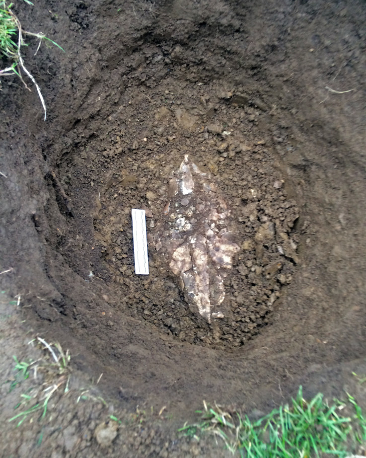 The hole in the ground where the steel container of coins was found