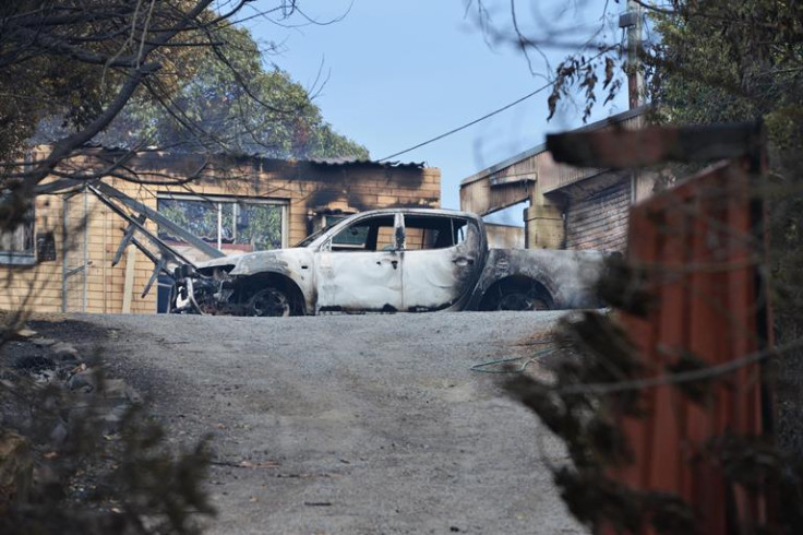 bushfire aftermath