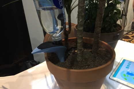 Parrot H20 automates watering your plants