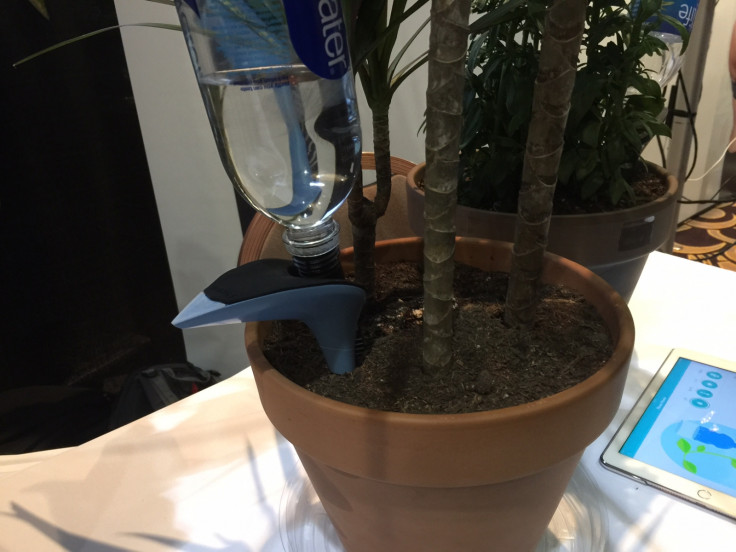 Parrot H20 automates watering your plants