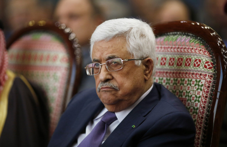 US weighing options over Palestine's ICC bid