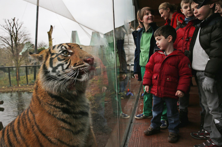 London zoo