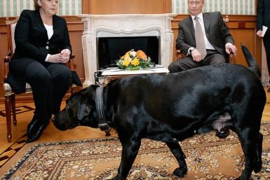 Merkel Putin and a dog