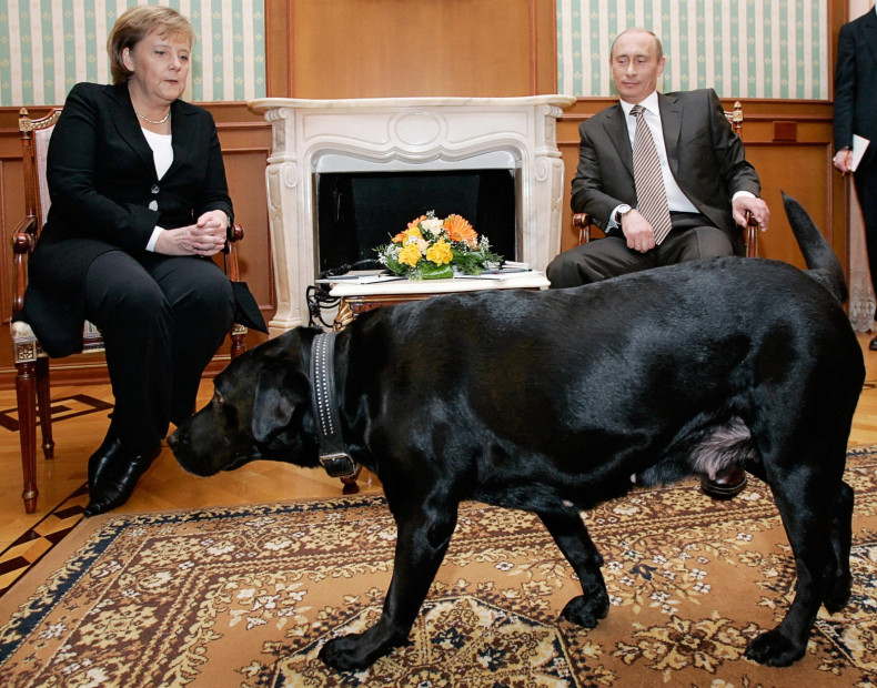 Merkel Putin and a dog