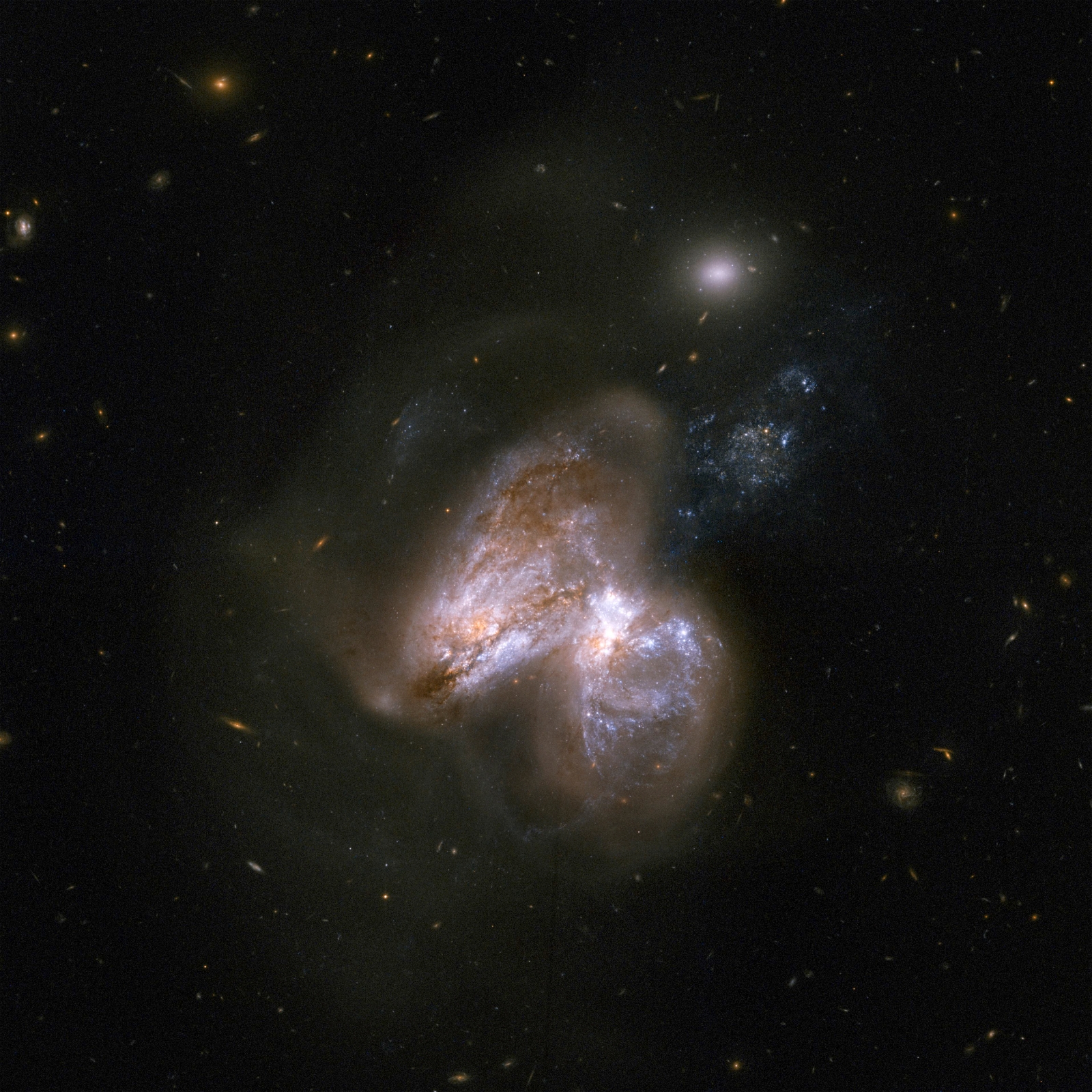 Prepare For Shock Rare Black Holes Galactic Dinner Is Insane Distant Galaxy - mu9dzvx