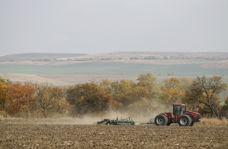 WHEAT RUSSIA