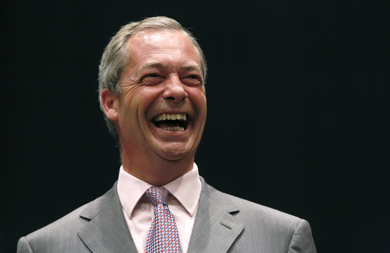 Ukip Leader Nigel Farage's Purple Revolution Is Coming... In Book Form