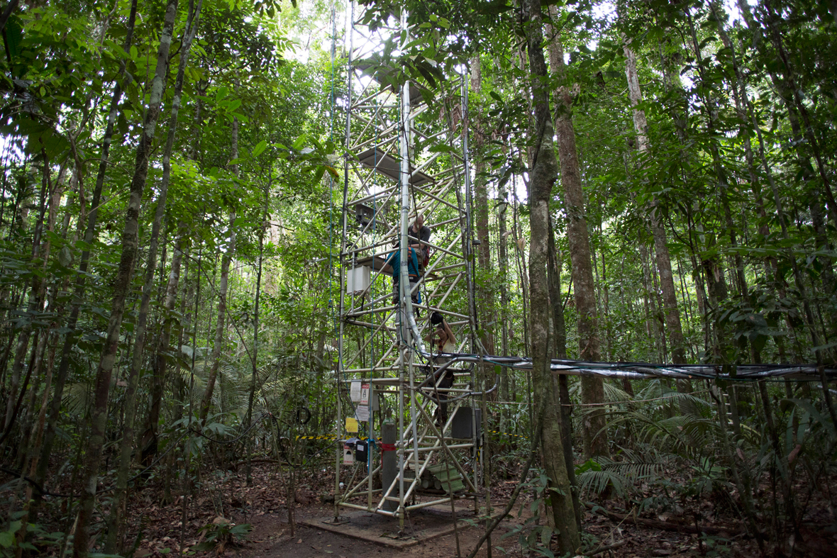 Amazon Tall Tower Observatory