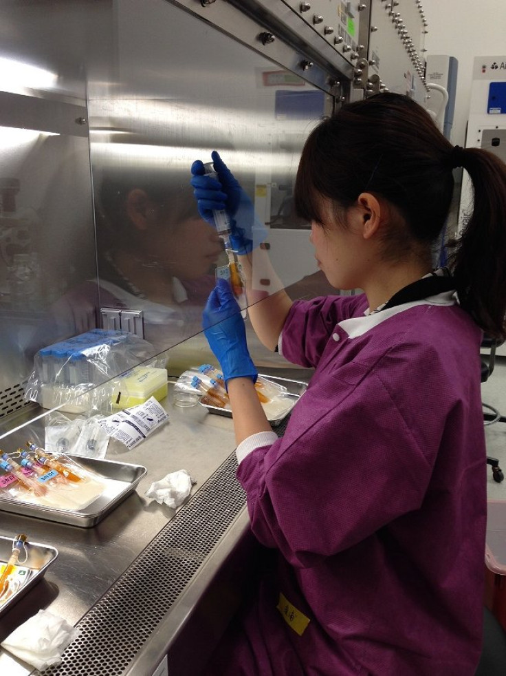 A researcher prepares samples of the Japanese Aerospace Exploration Agency's Epigenetics investigation