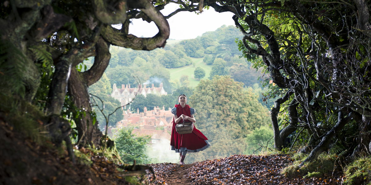 Into the Woods Into the Woods