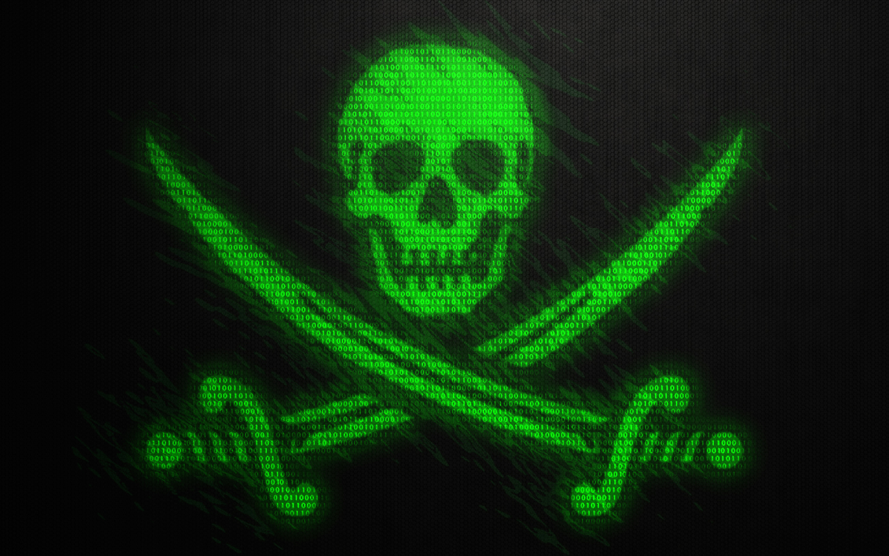 Politicians, military personal and journalists hacked in Pirate Party stunt