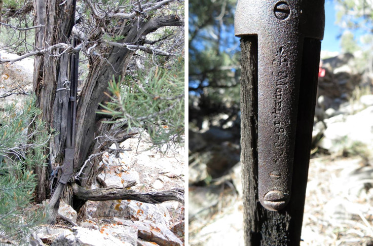 Archaeologists have discovered a Winchester Model 1873 casually propped against a tree, where it has been for over a century