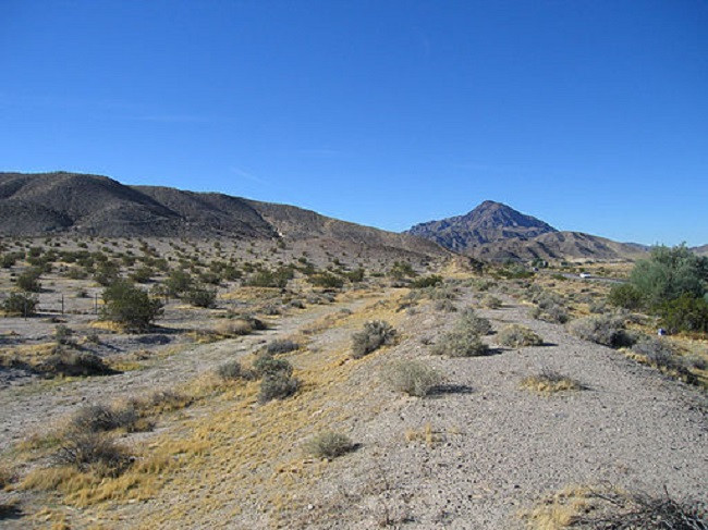 Briton suffered a heart attack after moment of passion in the middle of the Nevada Briton suffered a heart attack after moment of passion in the middle of the Nevada