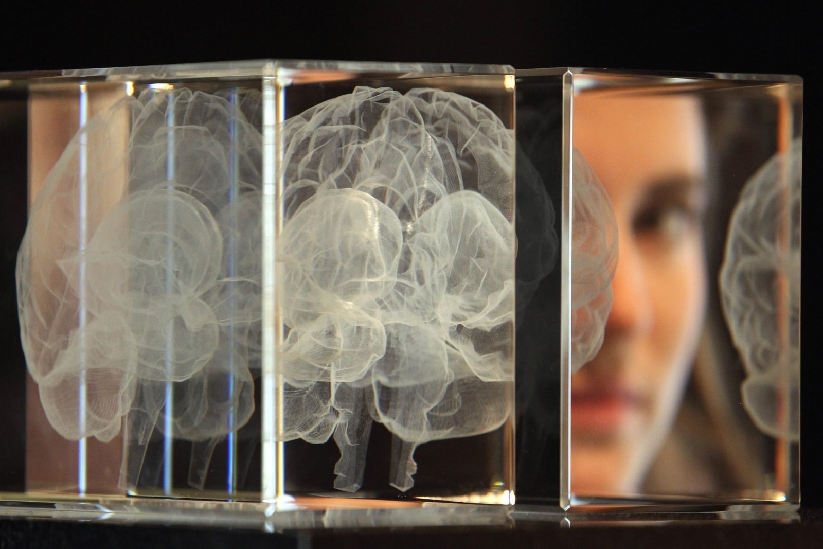 Artwork entitled 'My Soul' by Katharine Dowson, which consists of a laser etched lead crystal glass formation in the shape of a brain, and was created using the artist's own MRI Scan, at Wellcome Collection Artwork entitled 'My Soul' by Katharine Dowson, which consists of a laser etched lead crystal glass formation in the shape of a brain, and was created using the artist's own MRI Scan, at Wellcome Collection