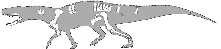 Nundasuchus