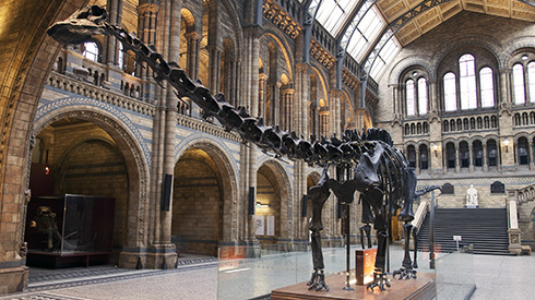 Dippy The Diplodocus To Be Replaced At Natural History Museum With Blue ...