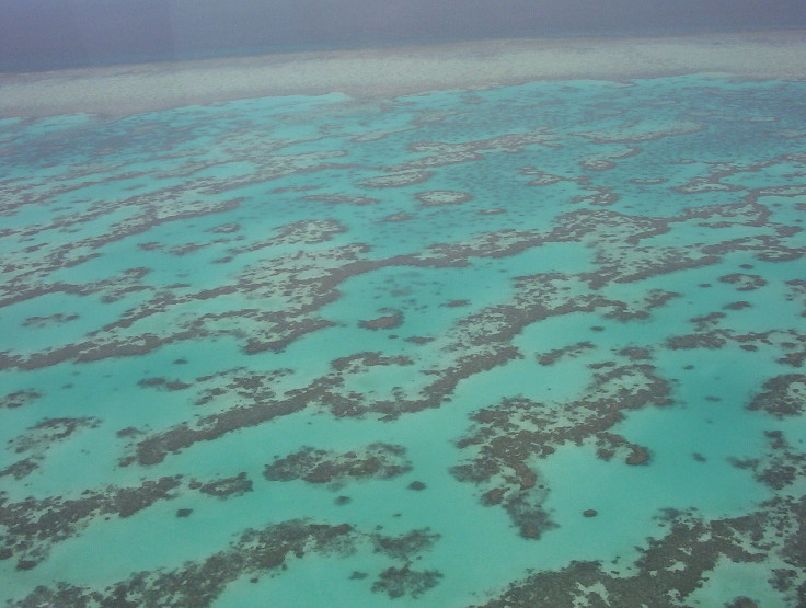 great barrier reef