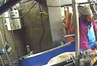 Horrific video shows animal abuse at Halal slaughterhouse
