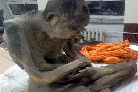 Mummified Buddhist monk found in Mongolia is 'still alive,' claims professor