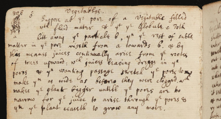Vegetables', an excerpt from Newton's 1661–1665 notebook, p.102. The diagram in the top left depicts evaporation of water from a shoot Vegetables', an excerpt from Newton's 1661–1665 notebook, p.102. The diagram in the top left depicts evaporation of water from a shoot