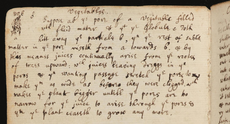 Vegetables', an excerpt from Newton's 1661–1665 notebook, p.102. The diagram in the top left depicts evaporation of water from a shoot