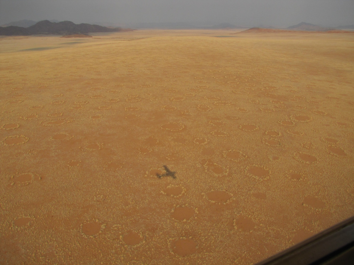 fairy circles fairy circles