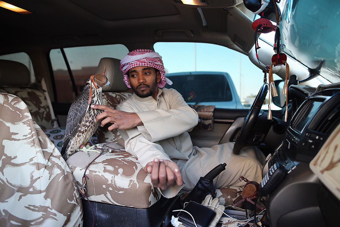 Как живут арабские. Соколиная охота Абу Даби. Соколиная охота в ОАЭ. Арабский Шейх Бедуин. Богатый араб.