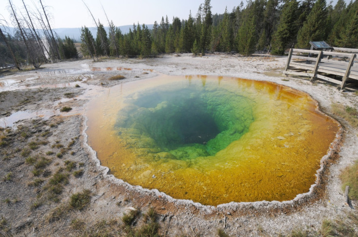 The Morning Glory Pool at Yellowstone National Park was once a uniform deep blue. The colours you see today are the results of pollution lowering the temperature of the pool
