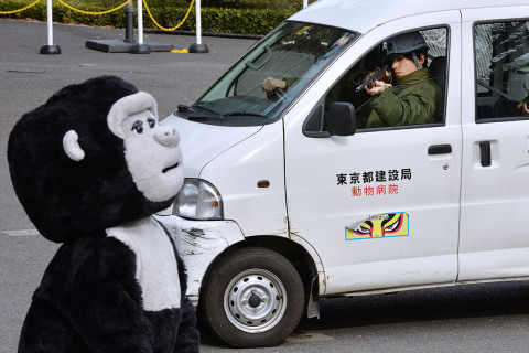japan zoo escaped animal drill