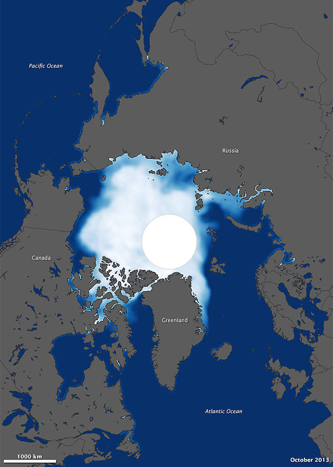 Arctic sea ice after