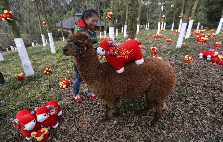 Chinese New Year 2015: What do the zodiac animals mean and where did they  come from?