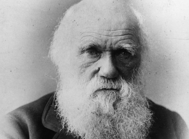 Darwin