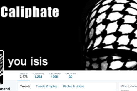 Who are Cyber Caliphate: Islamic State hackers or Lizard Squad in disguise?