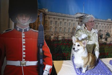 Meet the dogs in the 139th Westminster Dog Show