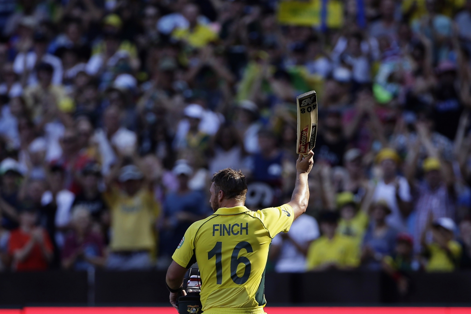 Live Cricket World Cup 2015 Streaming Sky Sports