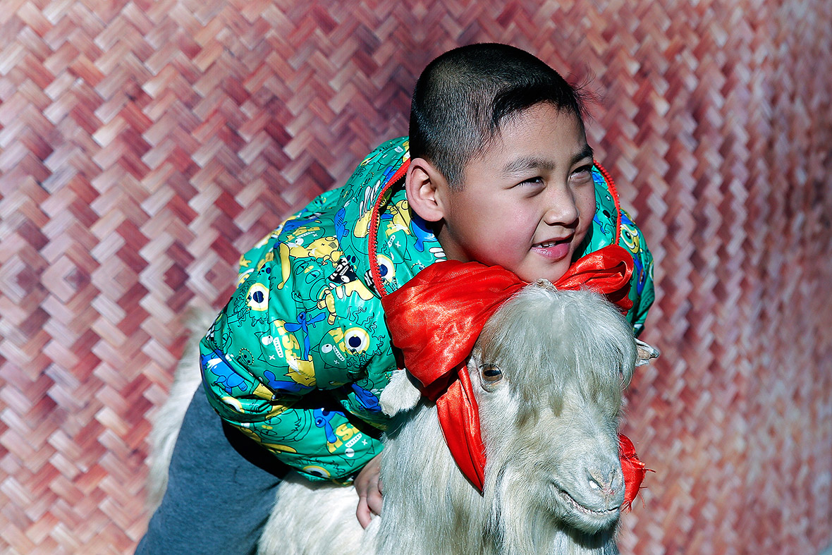 Chinese new year of the goat