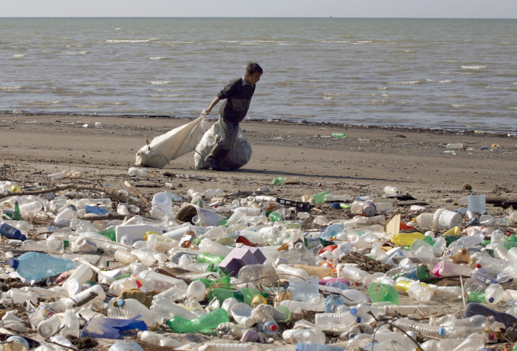 Albania child labour