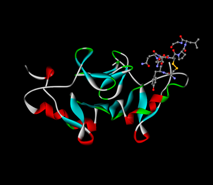 oxytocin