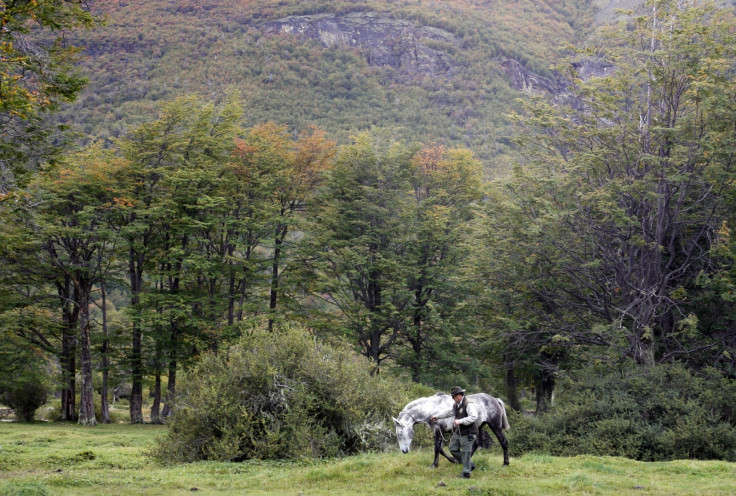 Tierra del Fuego