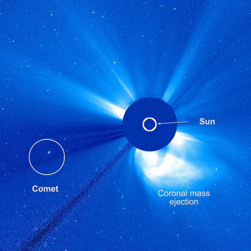 Unusual comet survives close encounter with sun but its future remains