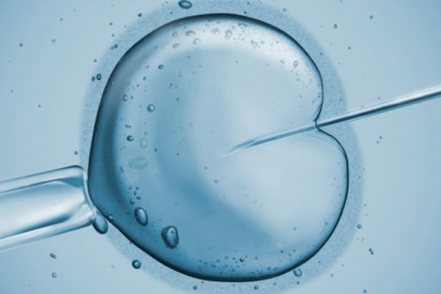 Britain becomes first nation to legalise ‘three-parent’ IVF babies