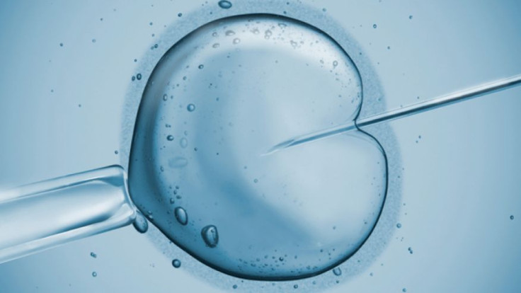 Britain becomes first nation to legalise ‘three-parent’ IVF babies