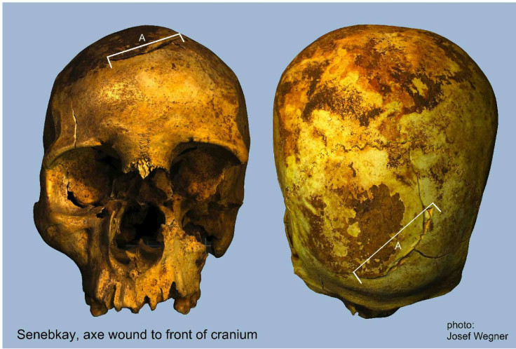 Pharaoh Senebkay skull