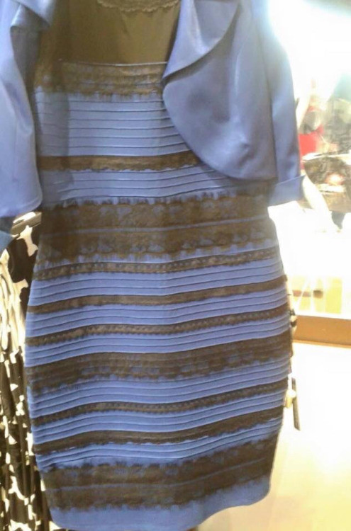 "The Dress" on Tumblr