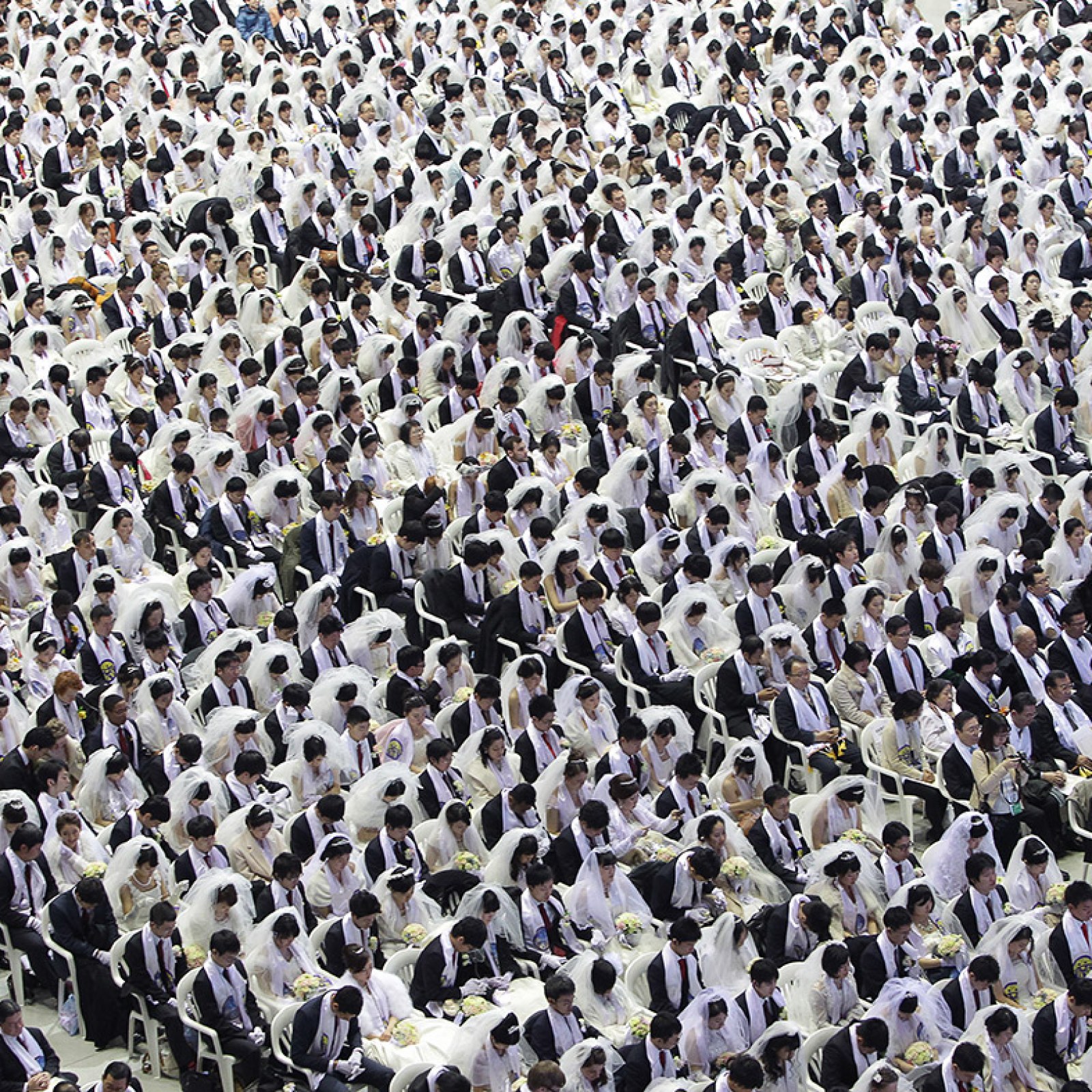 Haomoon Sect Moon Sect Wedding