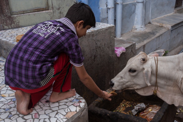 India beef ban