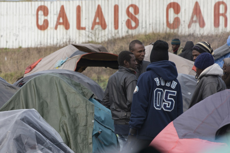 Calais migrants