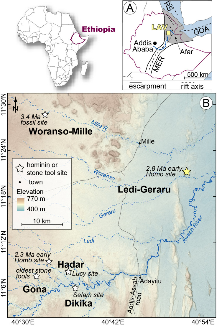 earliest homo fossil