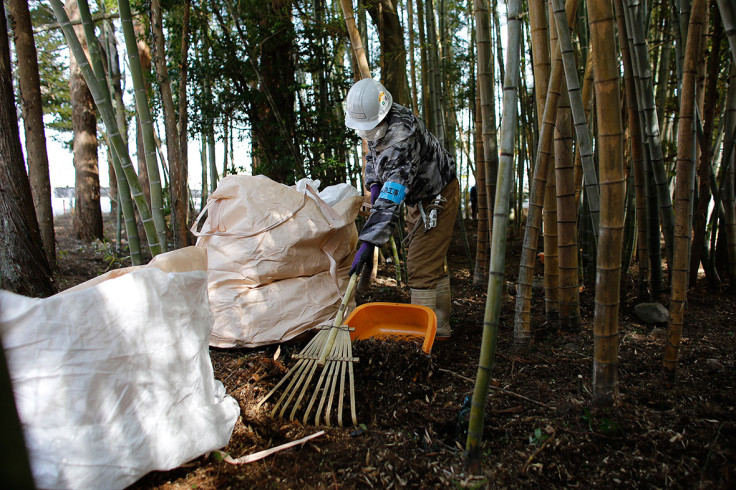 Fukushima four years after tsunami