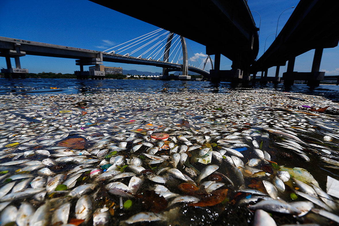 Rio de Janeiro pollution